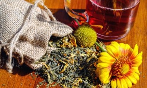 中药人参是几大仙草之一-中药人参多钱网 :分享中药人参片多少钱一克-中药人参多钱1g知识